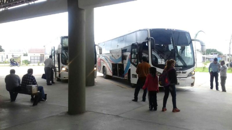 Colectivos Low Cost: anuncian descuentos de hasta 70% en los pasajes