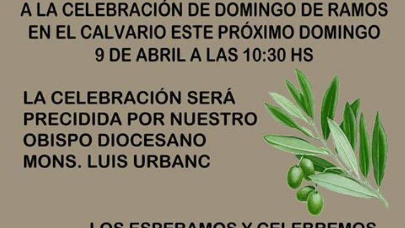 El Obispo presidirá la celebración del Domingo de Ramos