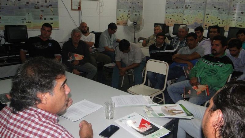 Articulan acciones en el sector porcino