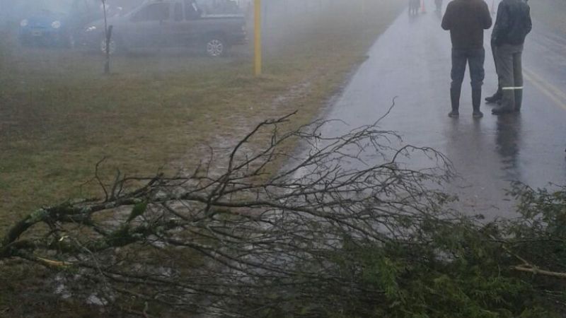 Municipales de El Alto continúan con las protestas