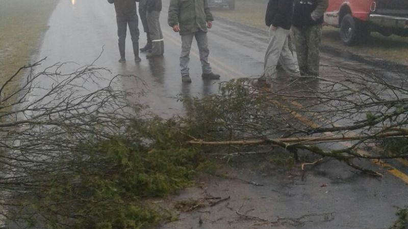 Municipales de El Alto continúan con las protestas