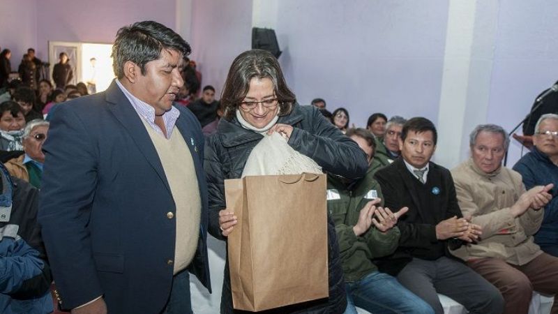 La Gobernadora cambió todo el servicio de energía en Antofagasta