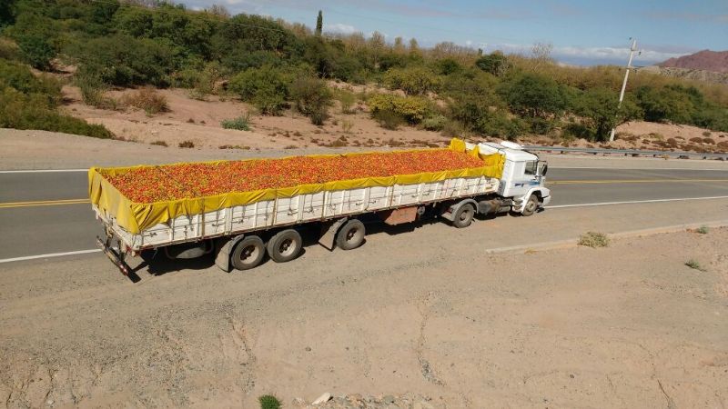 "Fue una exitosa operatoria del tomate"