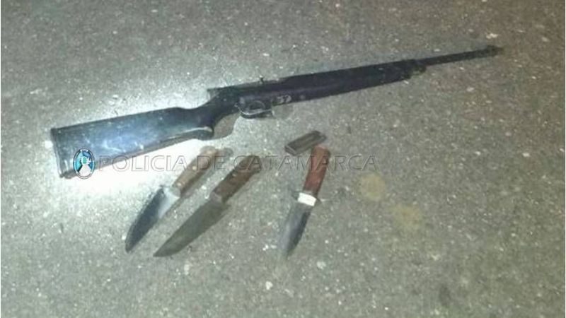 Llevaban una vaca muerta en el baul del auto