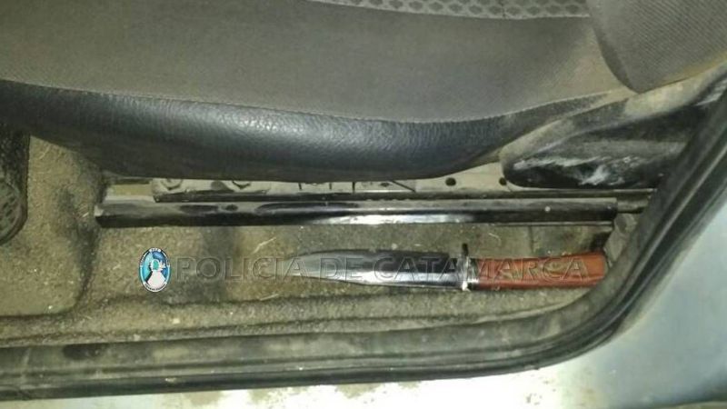 Llevaban una vaca muerta en el baul del auto