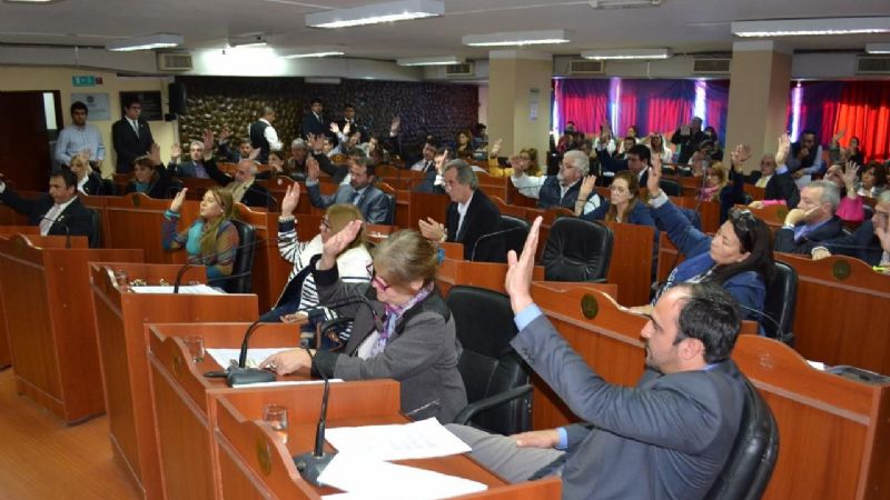 Creación del Colegio Profesional en Ciencias Criminalísticas