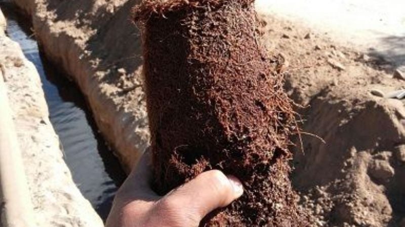 Desobstaculizaron conductos de agua potable en Chumbicha