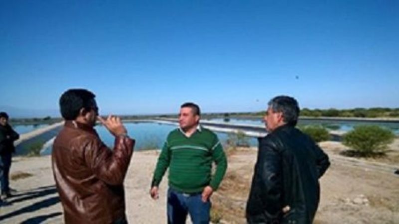 Solución a las lagunas de desechos cloacales