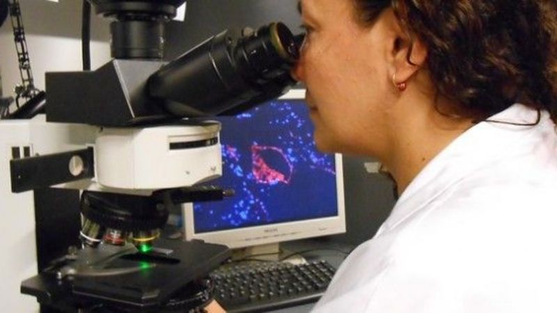 Nanopartículas, una potencial ayuda contra el cáncer