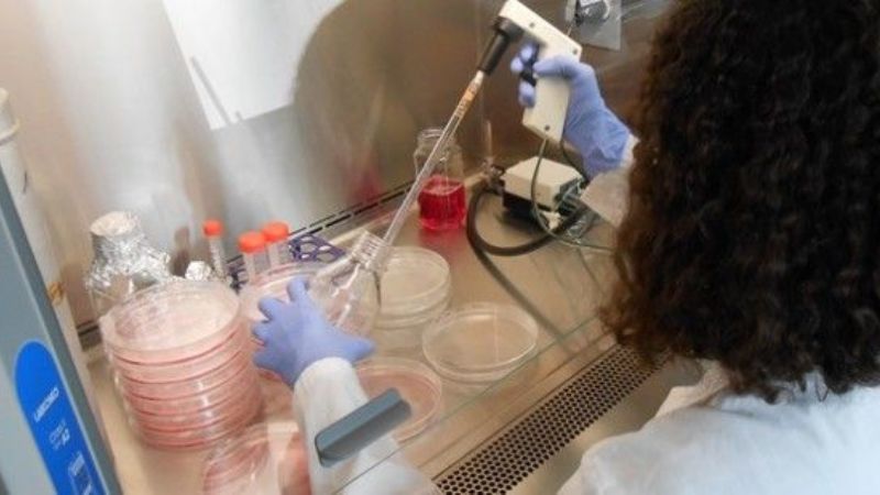 Nanopartículas, una potencial ayuda contra el cáncer