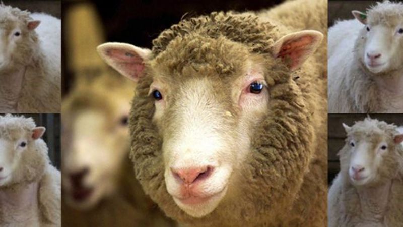 Cuando la copia cotiza más que el original