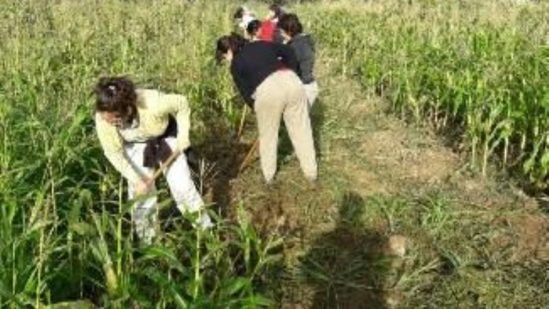 Se viene la Expo Forrajes 2017