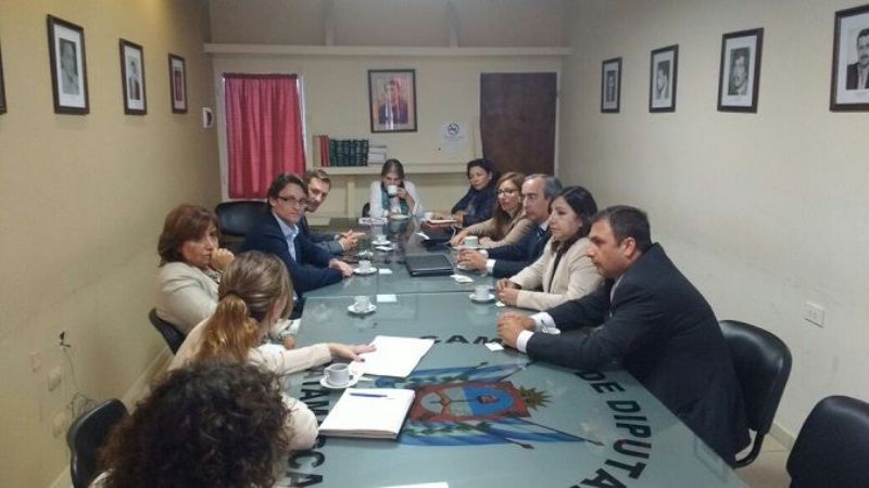 Funcionario de Derechos Humanos, en Diputados