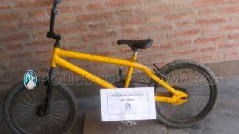 Dos niños robaron una bicicleta y quedaron demorados