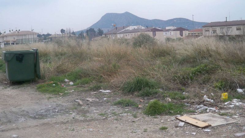 Descubrieron un feto cuando un perro lo estaba comiendo