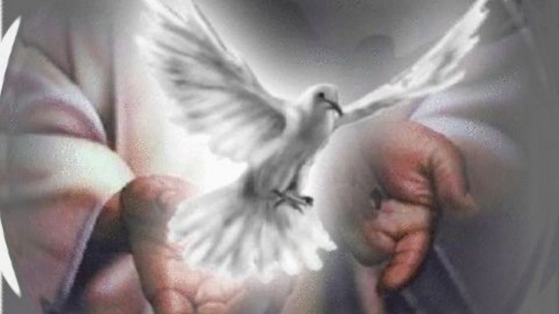 Vigilia de Pentecostés en la Catedral