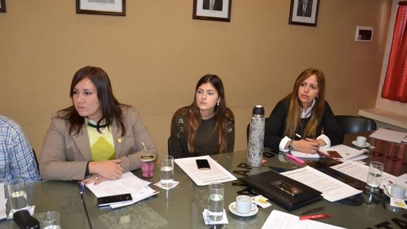 Se reunieron las comisiones de Hacienda y de Salud