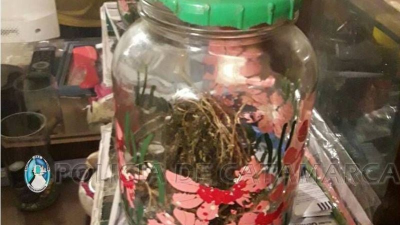 Allanaron una casa por un robo, y encontraron marihuana