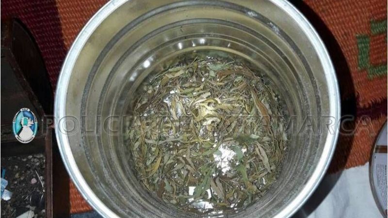 Allanaron una casa por un robo, y encontraron marihuana