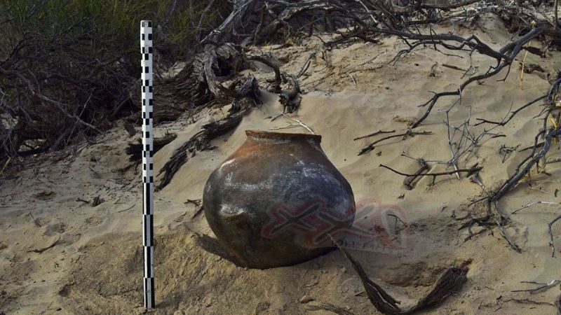 Nueva pieza de 1.200 años para el Museo