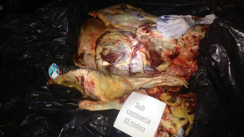 Secuestran una vaca y un novillo faenados en Ambato