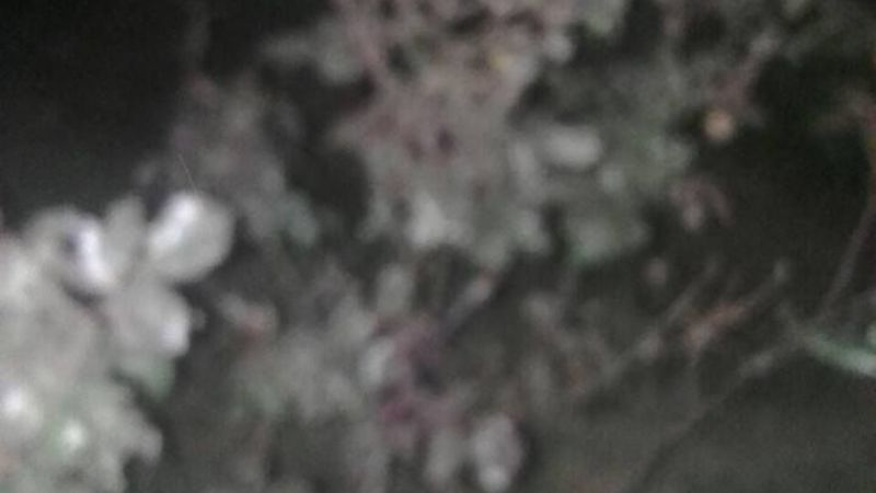 Temperaturas bajo 0 en casi toda la provincia