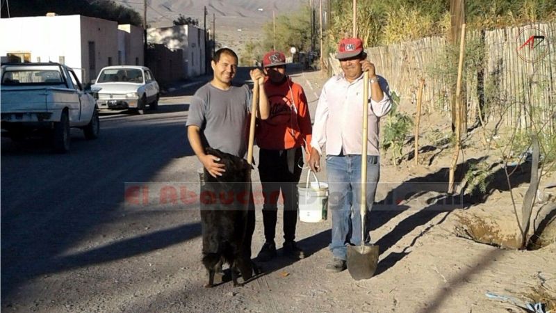 Vecinos forestan calles de Fiambalá