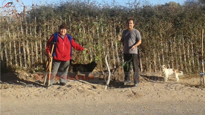 Vecinos forestan calles de Fiambalá