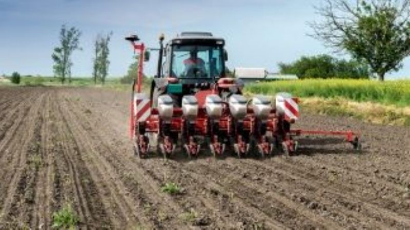 La siembra de trigo avanza lentamente a causa de las lluvias