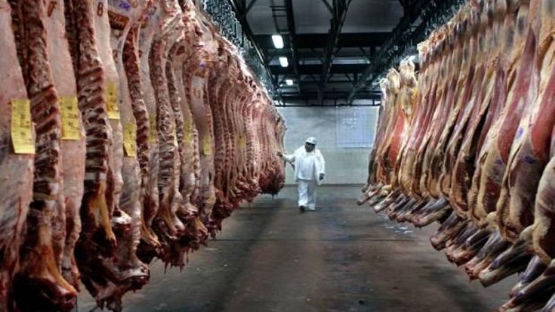 Las exportaciones de carne crecieron casi un 40% en mayo