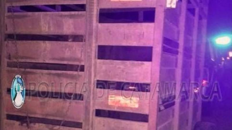 Secuestran animales en La Paz