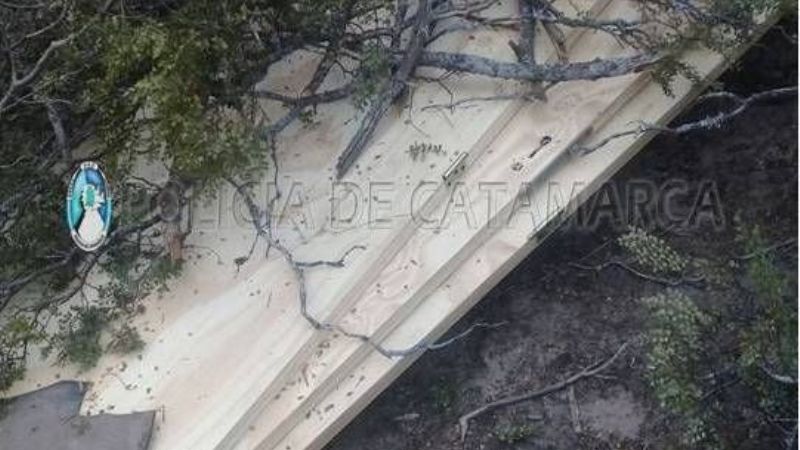 Recuperan 3 puertas robadas