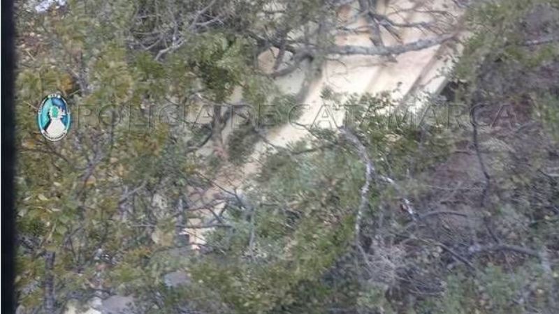 Recuperan 3 puertas robadas