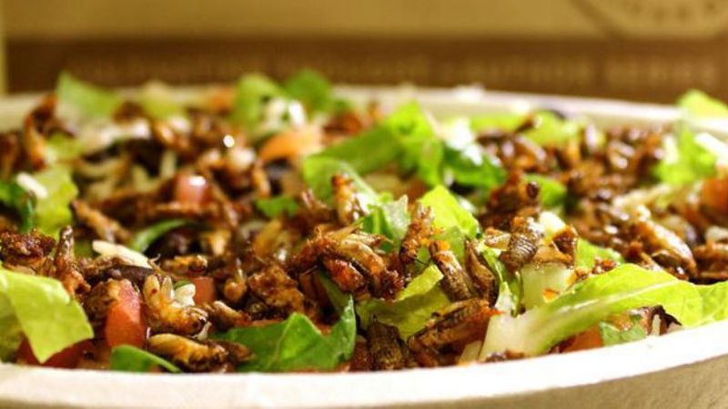 ¡Cuidado! Los humanos también pican