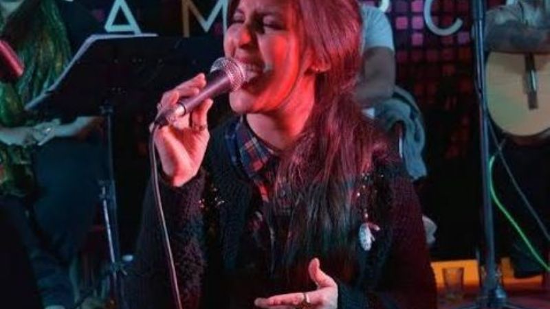 Las propuestas artísticas que debutan en el Poncho 2017