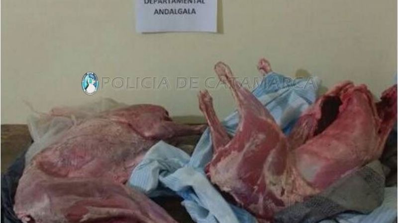 Esclarecen robo en Andalgalá