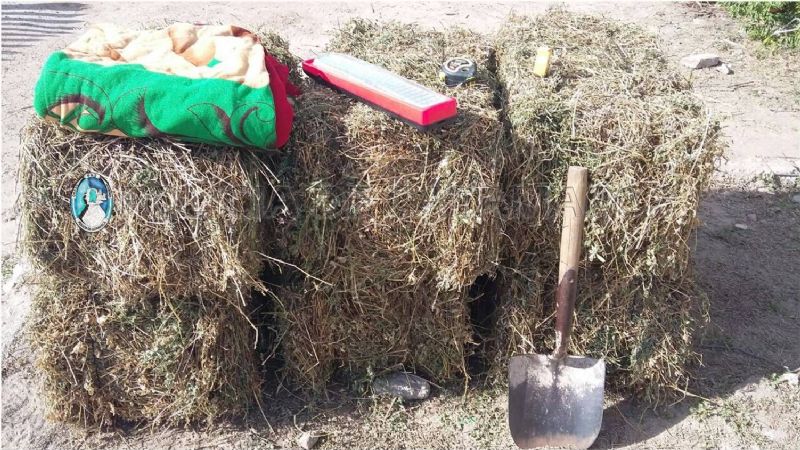 Esclarecen ilícito cometido en Esquiú