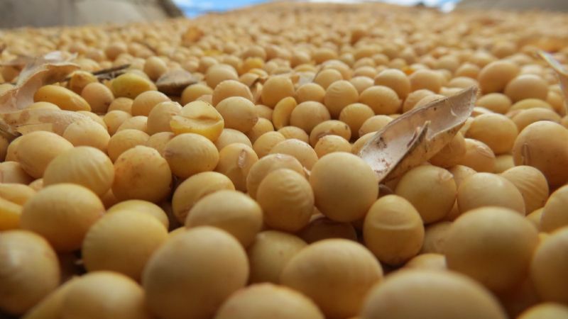 Por el atraso cambiario, se derrumbó el Fondo Sojero