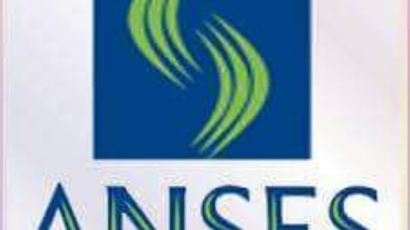 Hoy y mañana ANSES atiende en Recreo