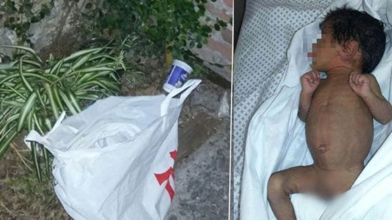 Un perro encontró a un bebé de 20 días abandonado en la calle