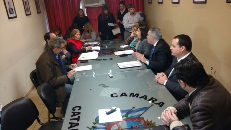 Bertorello en Diputados