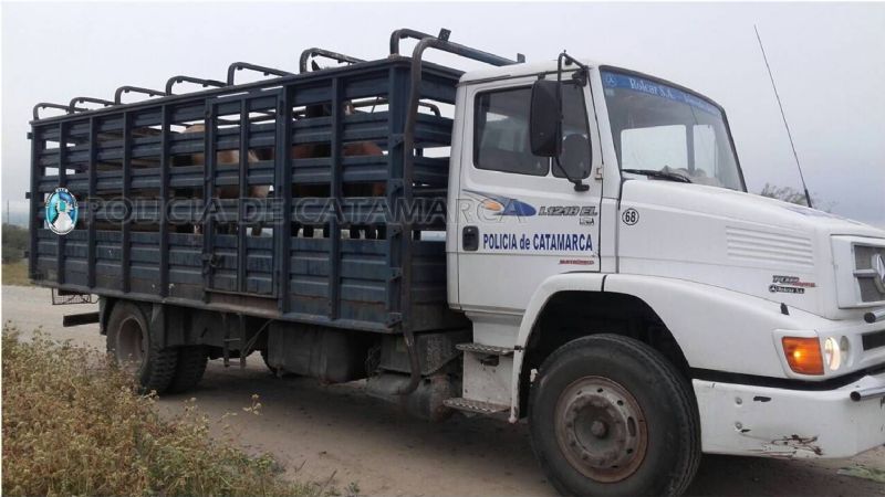 Secuestran 4 caballos