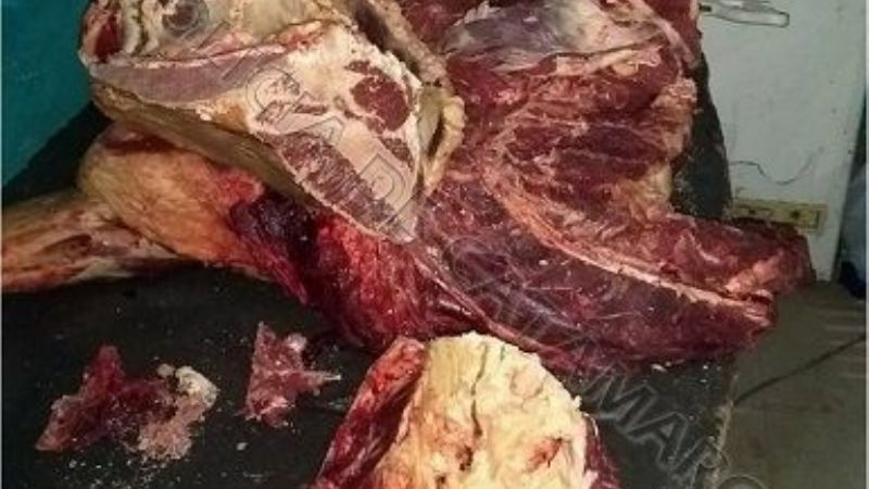 Secuestran 140 kilos de carne