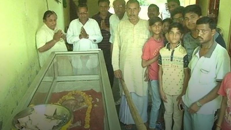 Conmoción en India por una vaca que nació con "cabeza humana"