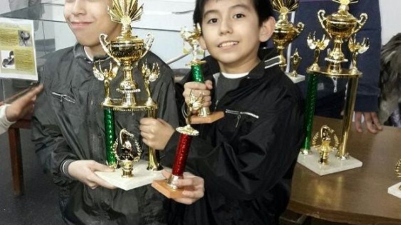 Exitosos torneos de ajedrez por equipos interclubes