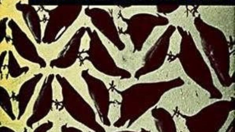 Presentan dos libros del andalgalense Daniel Álvarez