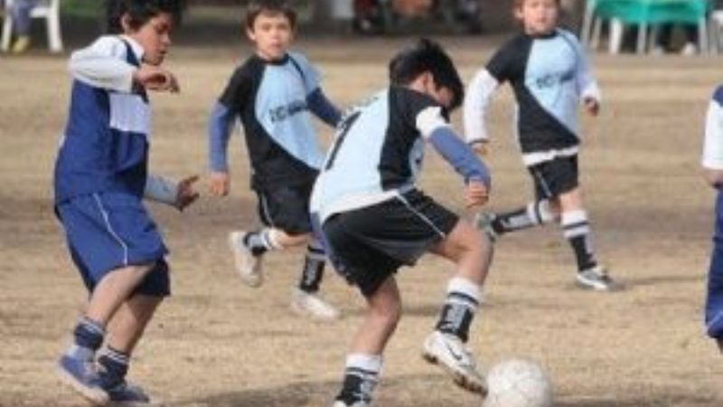 Intensa programación en las inferiores chacareras