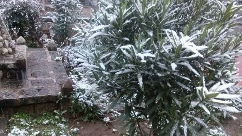 El Rodeo amaneció blanco