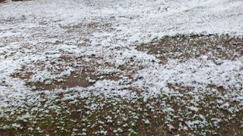 El Rodeo amaneció blanco