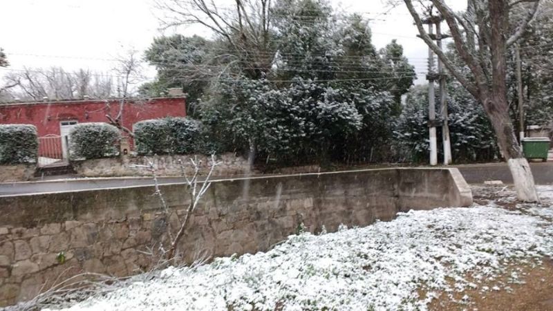 El Rodeo amaneció blanco